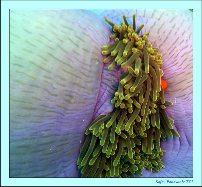 2011 - 08 - Borneo - Mantabuan 19